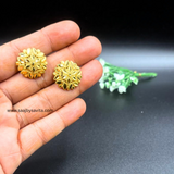 Simple Gold Plated Earring